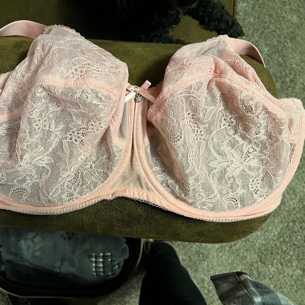 Wacoal Delicate Lace Bra in Soft Pink